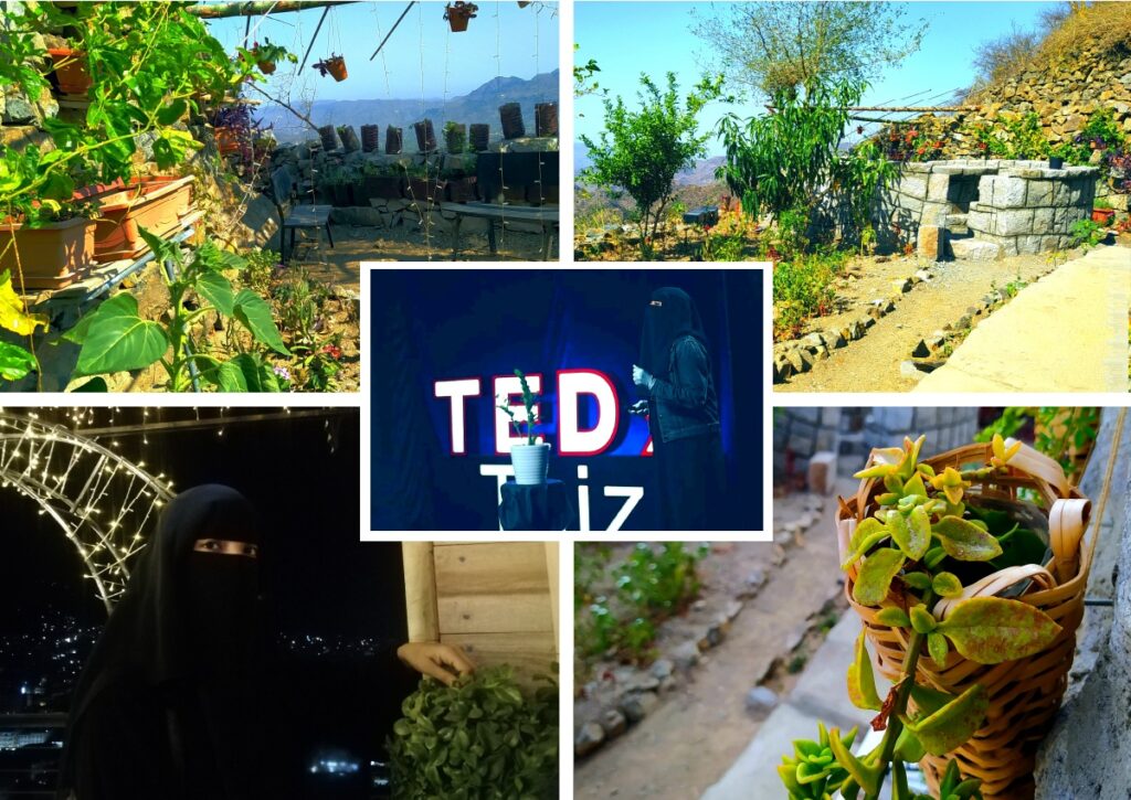 Hind’s World… A green imprint in Yemen’s Taiz